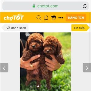 Meet your Posher, Bill